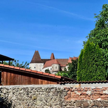Transilvania Rent フネドアラ エクステリア 写真